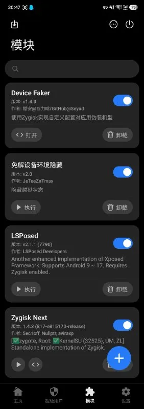 LSPosed 与 Zygisk Next 模块